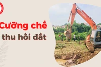 Pleiku sẽ cưỡng chế, kiểm đếm đối với ông Lê Tuấn Quang và bà Dương Thị Hường