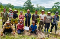 Gia Lai triển khai “Tết trồng cây đời đời nhớ ơn Bác Hồ” và trồng rừng, trồng cây phân tán