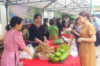 Chư Sê có 5.970 hộ nông dân sản xuất kinh doanh giỏi