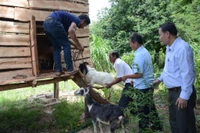 Đẩy mạnh thực hiện chương trình giảm nghèo bền vững và rà soát hộ nghèo, cận nghèo