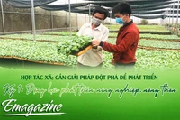 Hợp tác xã: Cần giải pháp đột phá để phát triển - Kỳ 1: Động lực phát triển nông nghiệp, nông thôn