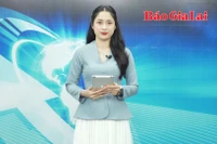 Gia Lai 24h: Sầu riêng rụng quả do thời tiết bất thường 