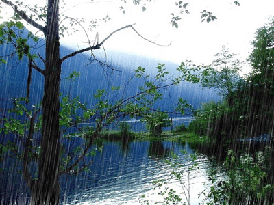 Ảnh minh họa (nguồn: Internet) Ảnh minh họa (nguồn: Internet)