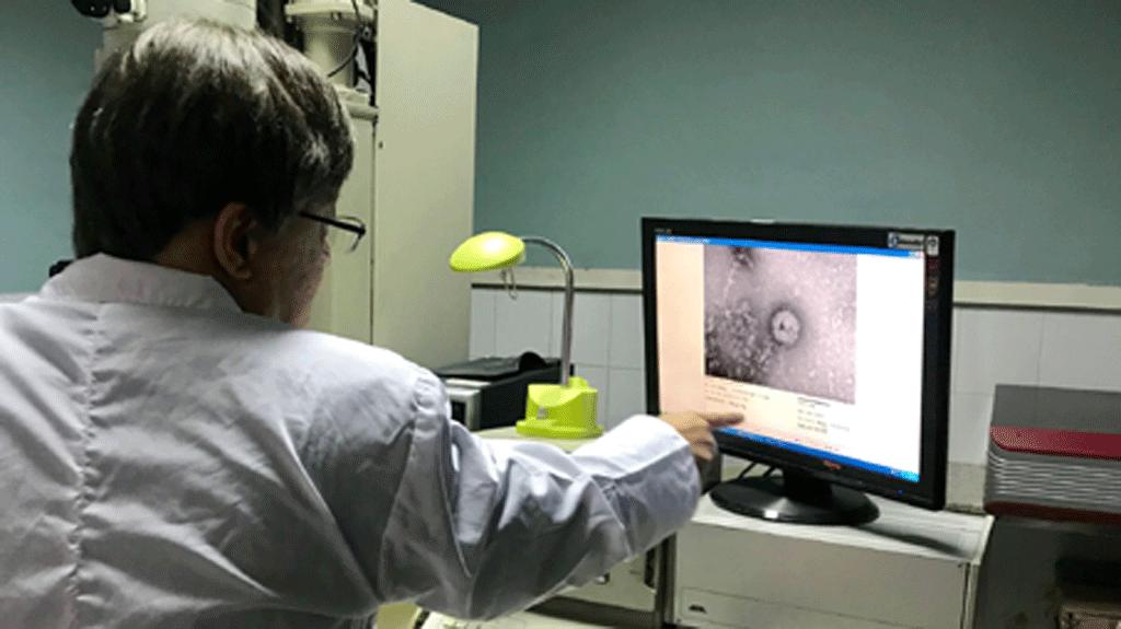 Các nhà khoa học nghiên cứu về virus SARS-CoV-2 ngay từ đầu vụ dịch Covid-19. ẢNH LIÊN CHÂU