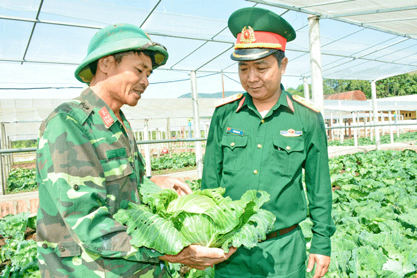 Đại úy Nguyễn Công Hải (trái) kiểm tra chất lượng rau cải bắp. Ảnh: N.A.S