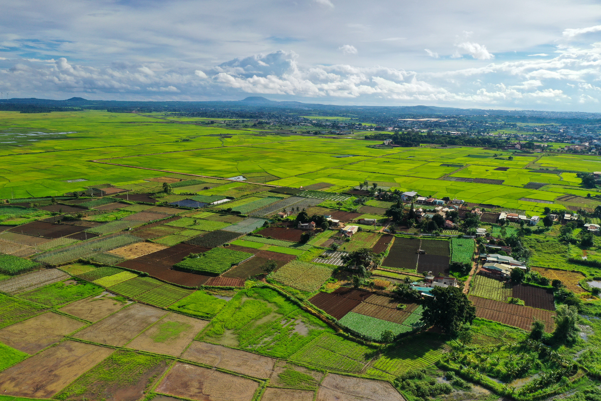 Vùng đất An Phú là một vùng quê an bình, và trù phú nằm ở cửa ngõ thành phố. Ảnh: Bi Ly dji-0112.jpg