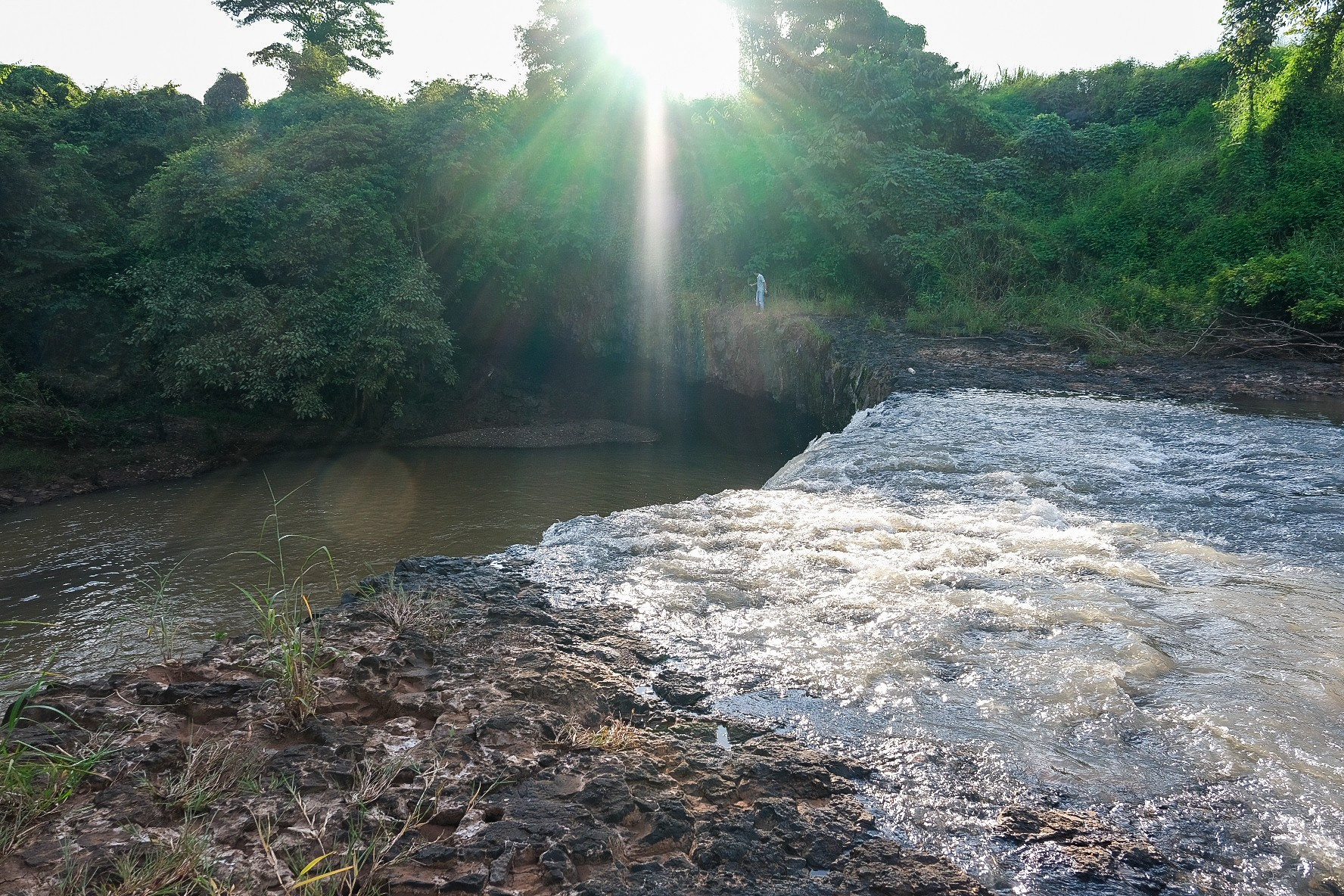dscf8807.jpg