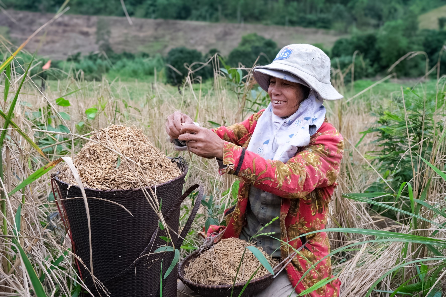 Thói quen canh tác tạo nên bức tranh về đời sống đầy thi vị của người Bahnar ở Đông Trường Sơn lua-ray-khong-chi-la-nguon-song-ma-con-mang-gia-tri-tinh-than-gan-nen-van-hoa-nuong-ray-cua-dong-bao-bahnar.jpg