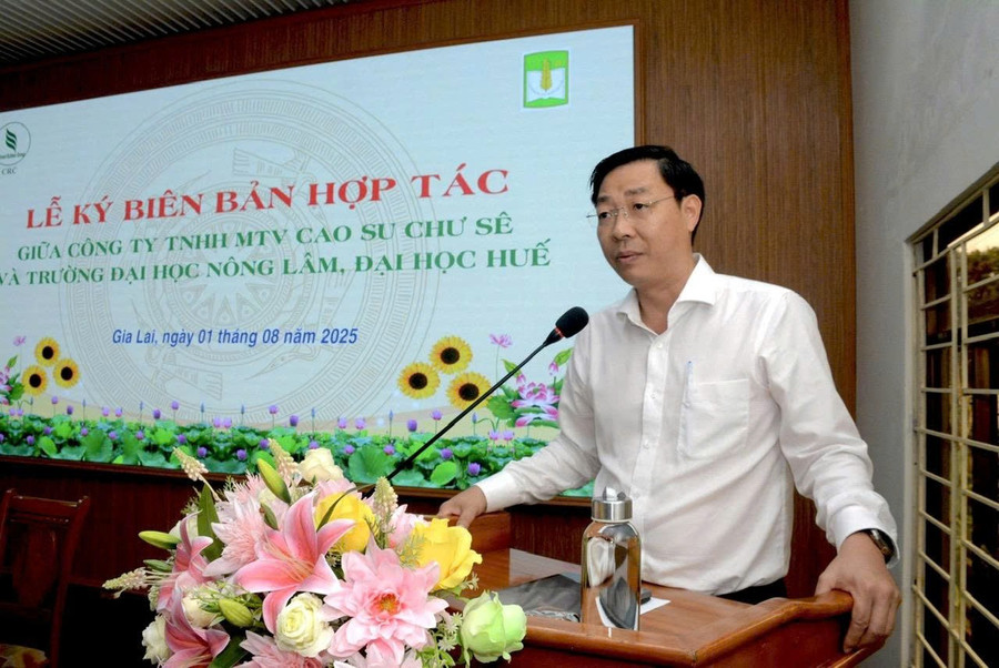 Ông Lê Trung Kiên-Tổng Giám đốc Công ty TNHH một thành viên Cao su Chư Sê phát biểu tại lễ ký kết. Ảnh: V.V gen-h-2.jpg