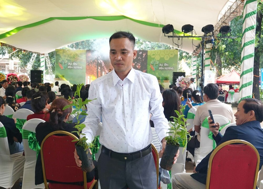 1 ha đàn hương được chăm sóc đúng quy trình kỹ thuật có thể mang lại thu nhập hàng tỷ đồng. Ảnh: M.V 1753530084dsc06614.jpg