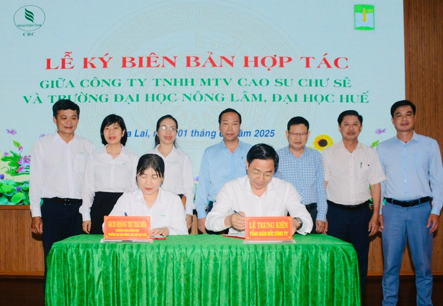 Công ty TNHH một thành viên Cao su Chư Sê và Trường Đại học Nông lâm Huế ký kết hợp tác phát triển nông nghiệp công nghệ cao. Ảnh: V.V 123.jpg