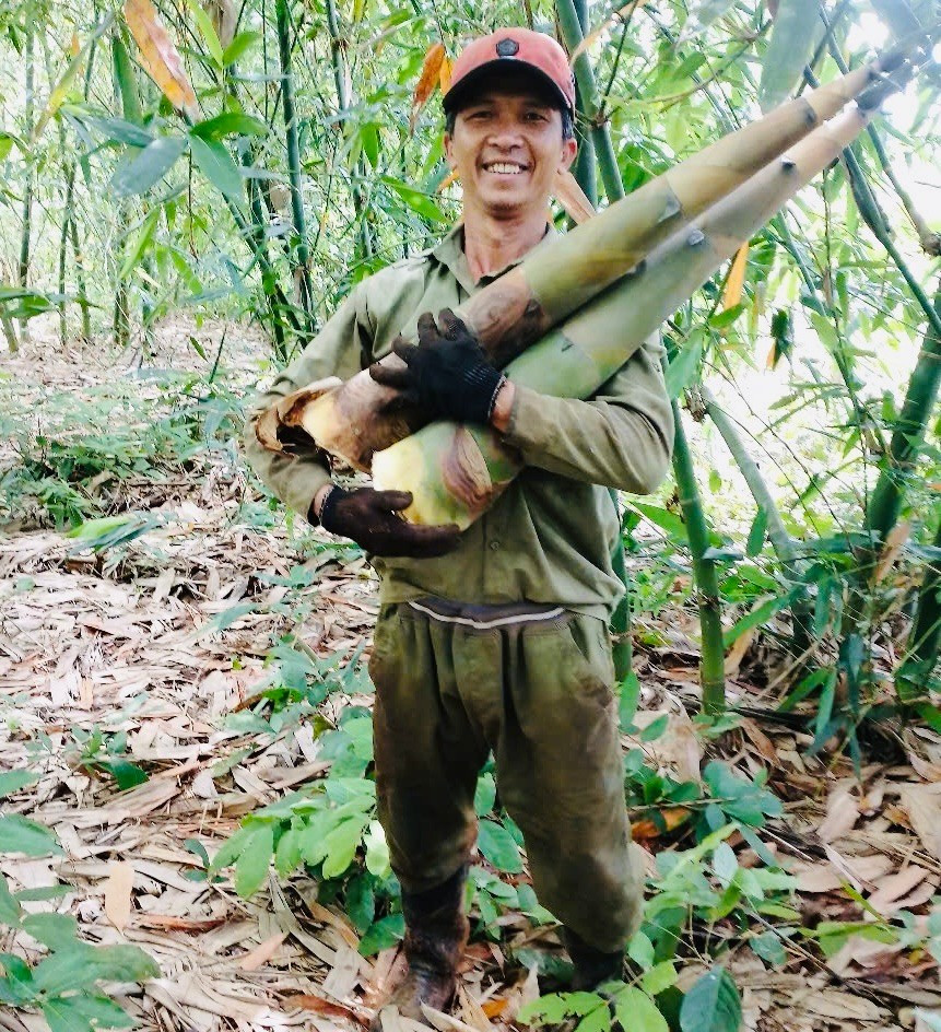 Anh Thiêm vui mừng vì giống tre Bát Độ trồng ở vùng đất Ia Chía mang lại hiệu quả cao, giúp nang cao thu nhập. Ảnh. N.T z6589310582095-ffca1f88eff8d8fdd1badf5be3bc84dc.jpg