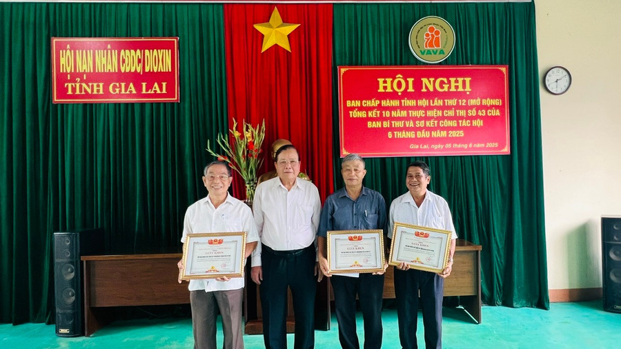 Hội Nạn nhân chất độc da cam/dioxin tỉnh tặng giấy khen cho tập thể, cá nhân có thành tích xuất sắc trong thực hiện Chỉ thị số 43-CT/TW. Ảnh: Đinh Yến z6673583824799-448b69a96a2cb8feee2bd7fdd8fc6588.jpg