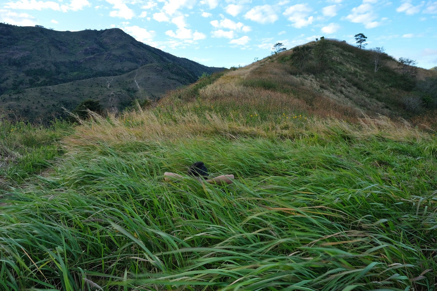 Gối mộng lên cỏ. Ảnh: Hoàng Ngọc