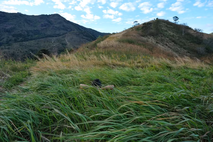 Gối mộng lên cỏ. Ảnh: Hoàng Ngọc