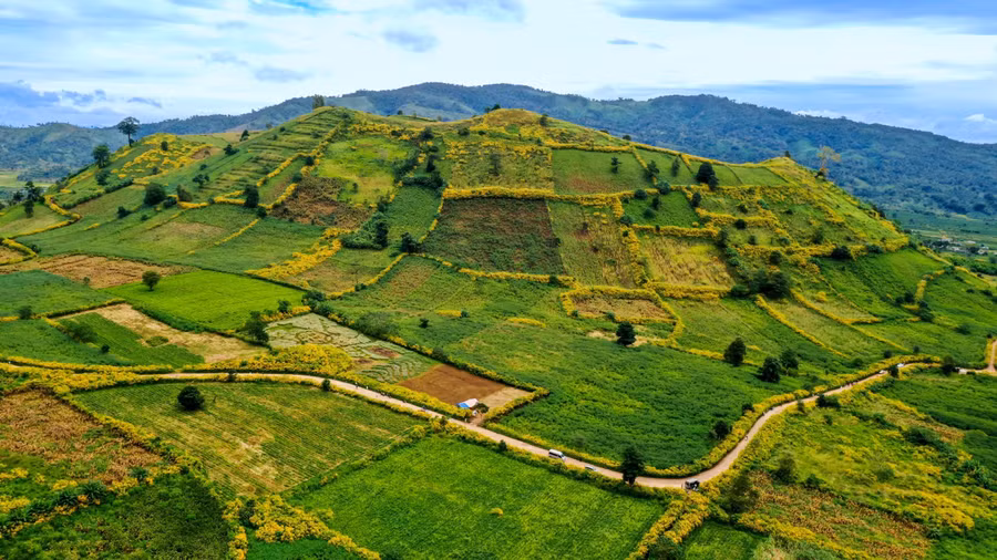 Núi lửa Chư Đang Ya là điểm đến nổi bật của du lịch Gia Lai. Ảnh: Bi Ly