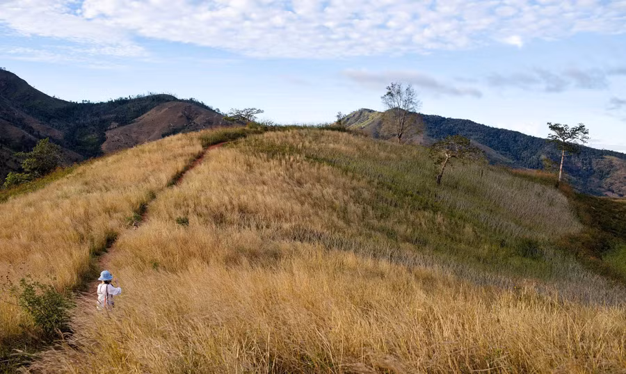 "Sống khủng long" trên đỉnh núi lửa Chư Đang Ya. Ảnh: Hoàng Ngọc