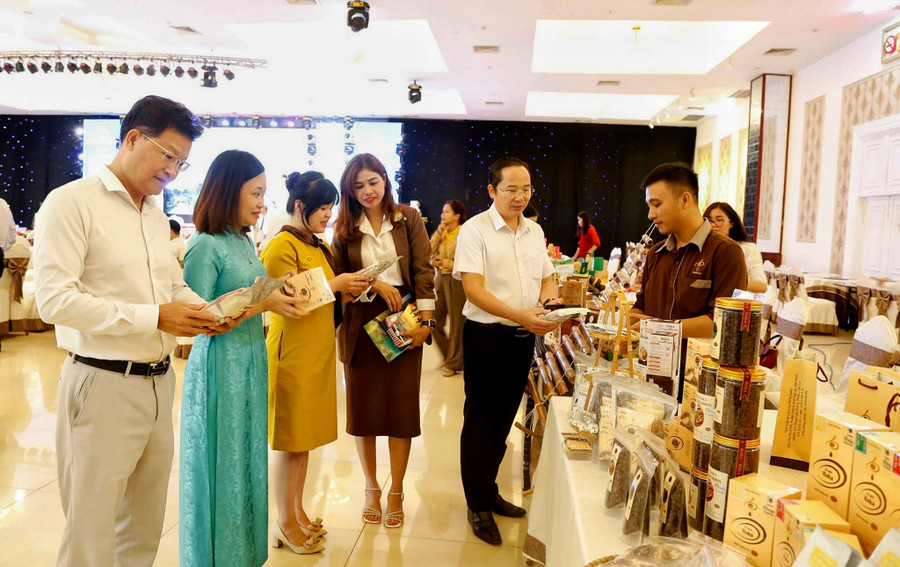 Các doanh nghiệp du lịch tham quan gian trưng bày sản phẩm du lịch, OCOP tiêu biểu các địa phương. Ảnh: Hoàng Ngọc Các doanh nghiệp du lịch tham quan gian trưng bày sản phẩm du lịch, OCOP tiêu biểu các địa phương. Ảnh: Hoàng Ngọc