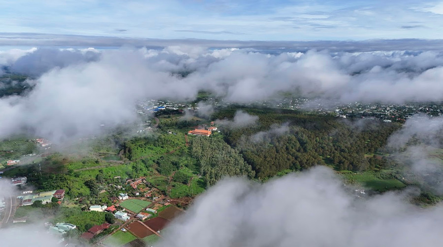 Ảnh: Bi Ly Ảnh: Bi Ly