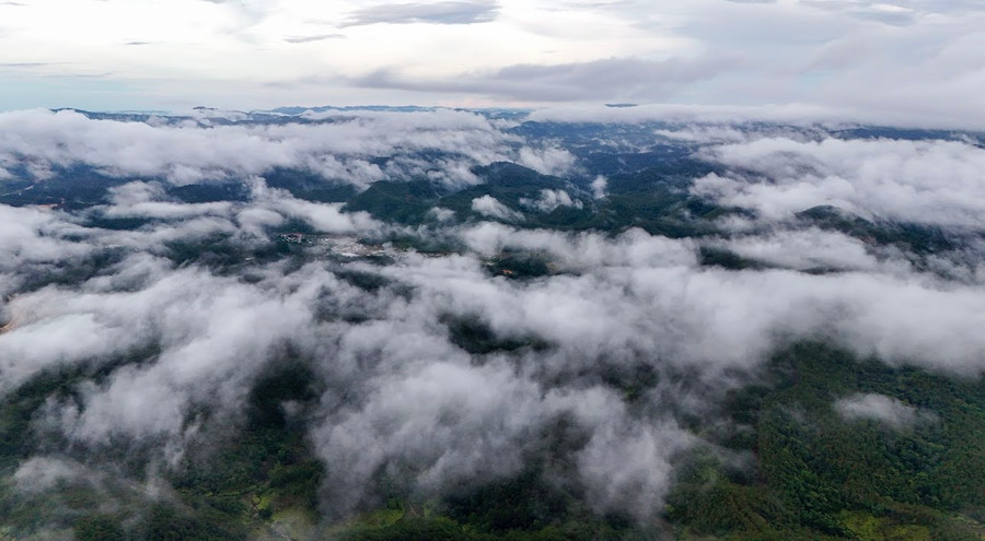 Ảnh: Bi Ly Ảnh: Bi Ly