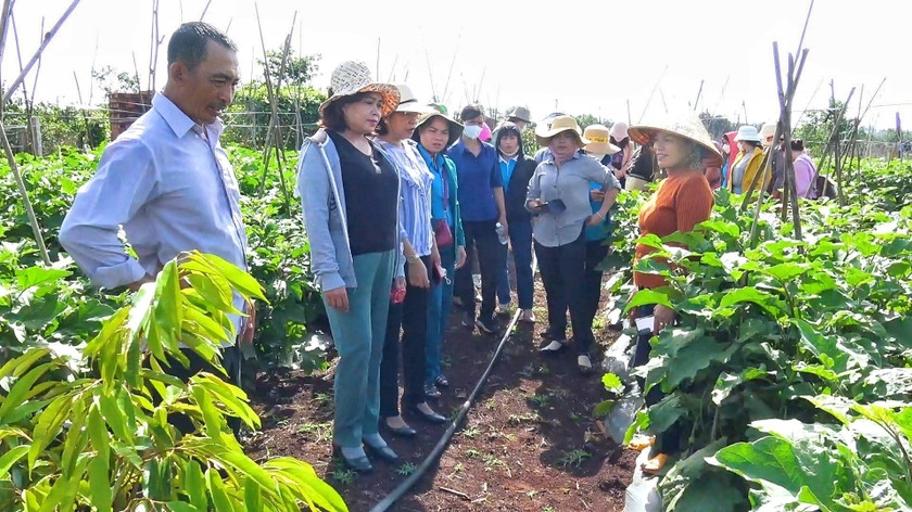 Phụ nữ Chư Prông học tập kinh nghiệm các mô hình phụ nữ khởi nghiệp thành công để khuyến khích phụ nữ phát triển kinh tế. Ảnh: Minh Châu Phụ nữ Chư Prông học tập kinh nghiệm các mô hình phụ nữ khởi nghiệp thành công để khuyến khích phụ nữ phát triển kinh tế. Ảnh: Minh Châu