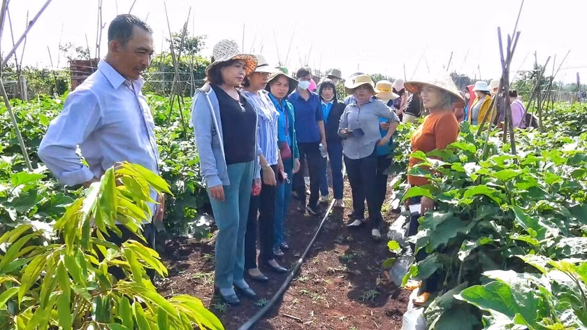 Phụ nữ Chư Prông học tập kinh nghiệm các mô hình phụ nữ khởi nghiệp thành công để khuyến khích phụ nữ phát triển kinh tế. Ảnh: Minh Châu