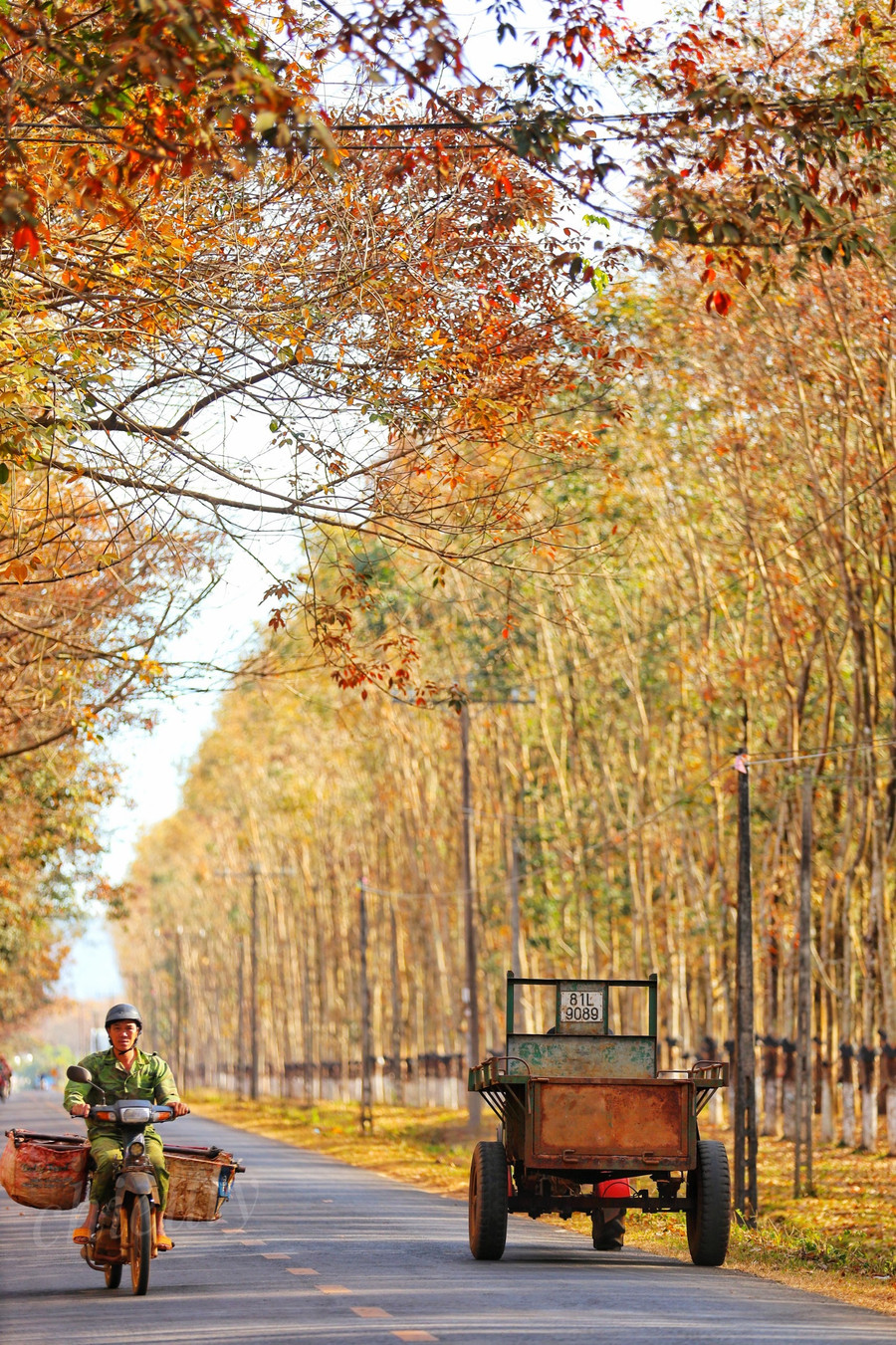 Đời sống của con người luôn có sự giao hòa với tự nhiên. Ảnh: Chiêu Ly Đời sống của con người luôn có sự giao hòa với tự nhiên. Ảnh: Chiêu Ly