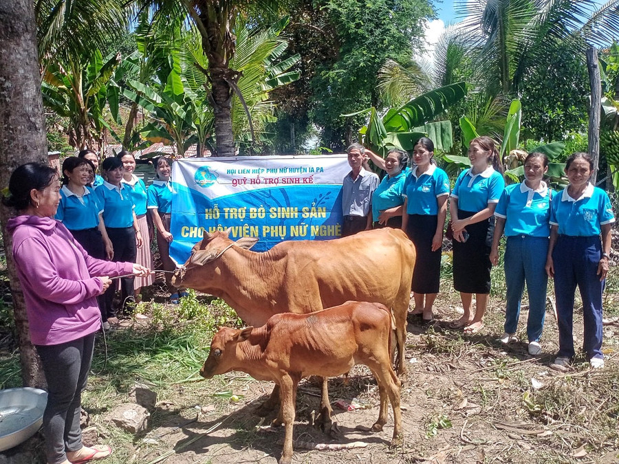 Các cấp hội phụ nữ đã trao hàng trăm mô hình sinh kế, hỗ trợ hội viên phụ nữ nghèo vươn lên phát triển kinh tế. Ảnh: Minh Châu