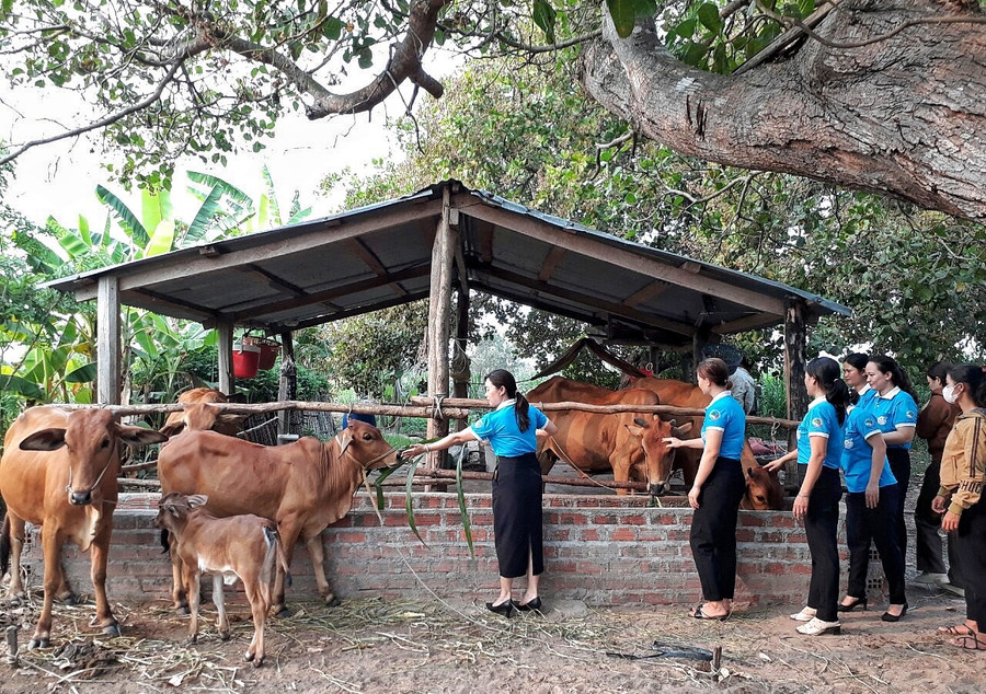 Học tập mô hình phát triển kinh tế tiêu biểu của phụ nữ Krông Pa ảnh 1 Học tập mô hình phát triển kinh tế tiêu biểu của phụ nữ Krông Pa ảnh 1