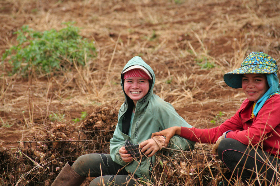 Khung cảnh lao động trên núi lửa Chư Đang Ya qua góc máy của thầy giáo 8X ảnh 4