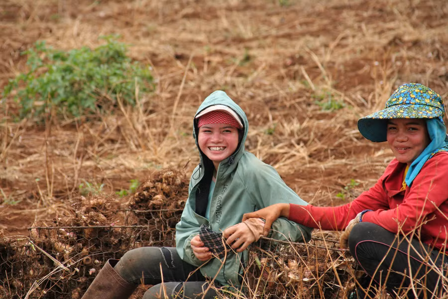 Khung cảnh lao động trên núi lửa Chư Đang Ya qua góc máy của thầy giáo 8X ảnh 4