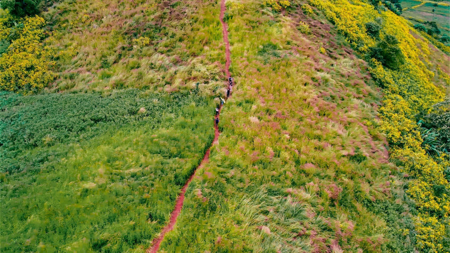 Cung đường trekking lên núi lửa Chư Đang Ya, tỉnh Gia Lai. Ảnh: Bi Ly