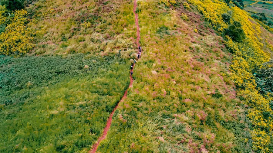 Cung đường trekking lên núi lửa Chư Đang Ya, tỉnh Gia Lai. Ảnh: Bi Ly