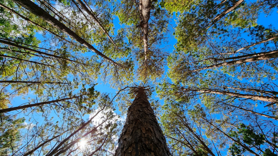 Ảnh: Bi Ly Ảnh: Bi Ly