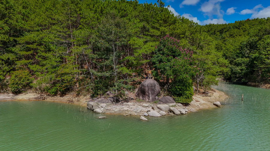 Ảnh: Bi Ly Ảnh: Bi Ly