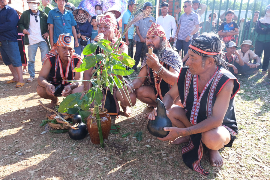 Hội đồng già làng thực hiện các nghi thức cúng yàng. Ảnh: Hoàng Ngọc Hội đồng già làng thực hiện các nghi thức cúng yàng. Ảnh: Hoàng Ngọc