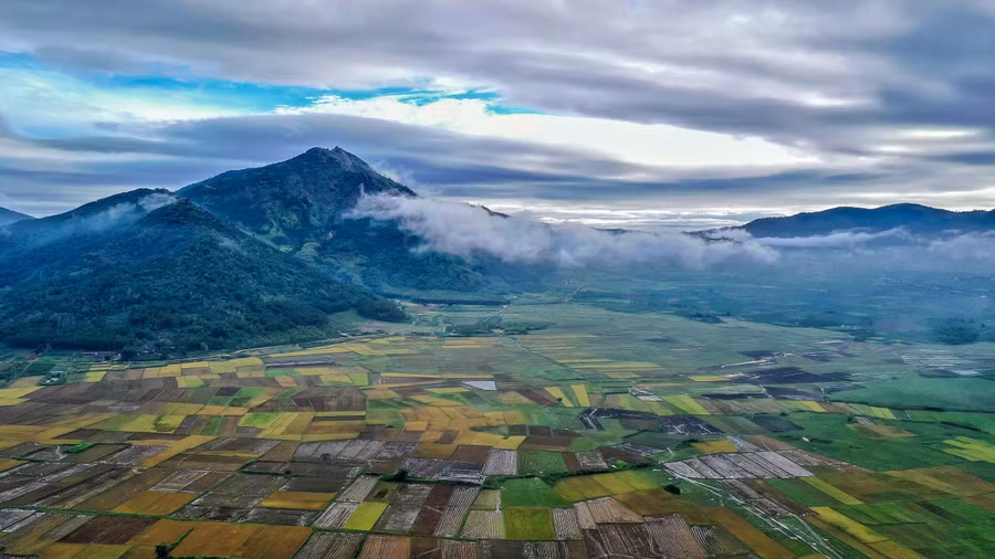 Bao bọc cánh đồng là dãy Chư Nâm hùng vĩ. Ảnh: Bi Ly