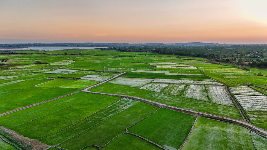 Cánh đồng thẳng cánh cò bay, phía xa xa là Biển Hồ. Ảnh: Bi Ly Cánh đồng thẳng cánh cò bay, phía xa xa là Biển Hồ. Ảnh: Bi Ly