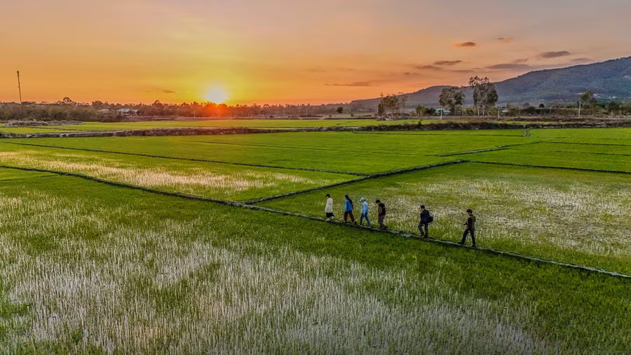 Du xuân trên đồng. Ảnh: Bi Ly