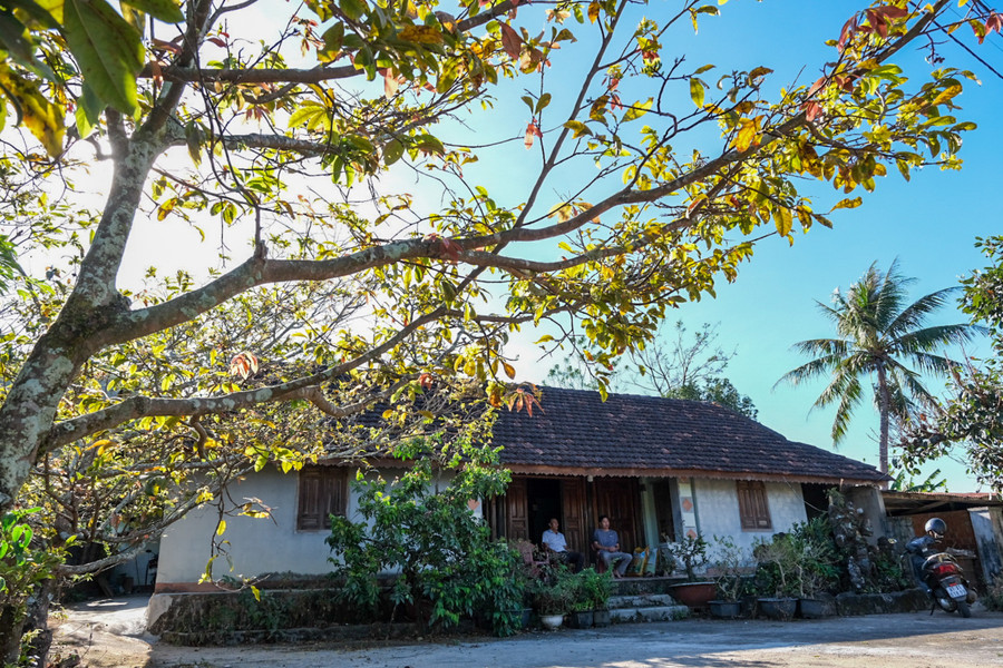 Lão mai trong sân dòng họ Huỳnh-thôn Ngô Sơn, xã Chư Đang Ya, huyện Chư Păh. Ảnh: Hoàng Ngọc