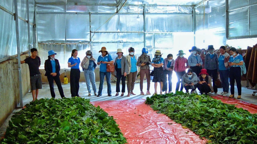 Đoàn tham quan, học tập mô hình trồng dâu nuôi tằm tại xã Ia Ga. Ảnh: Minh Châu