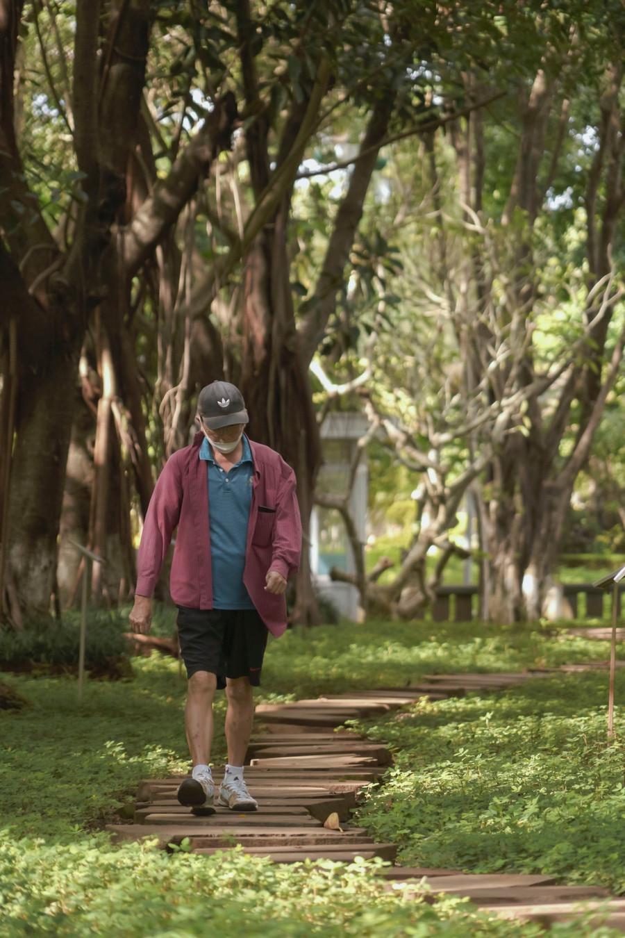 Người dân tìm thấy những góc riêng yên tĩnh trong không gian tràn ngập màu xanh và bầu không khí trong lành.