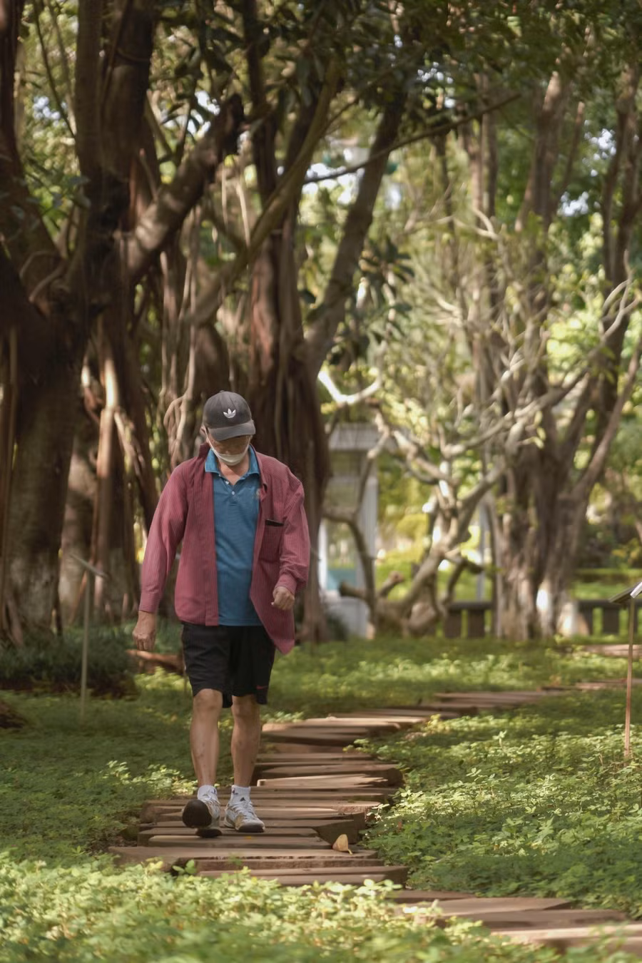 Người dân tìm thấy những góc riêng yên tĩnh trong không gian tràn ngập màu xanh và bầu không khí trong lành.