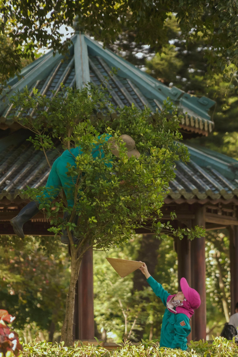 Phút thư giãn giữa giờ lao động của những người giữ màu xanh cho Quảng trường