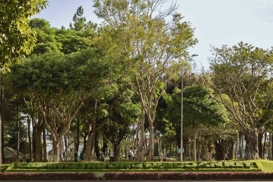 Quảng trường được ví như lá phổi xanh của Phố núi Pleiku