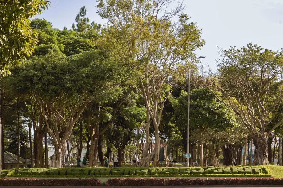 Quảng trường được ví như lá phổi xanh của Phố núi Pleiku