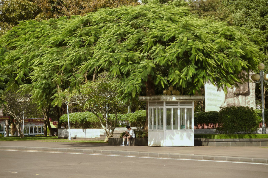 Những góc rất chill ở Quảng trường Đại Đoàn Kết