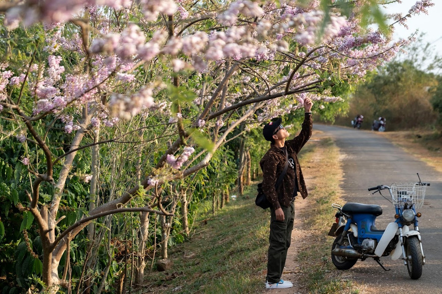 "Nhiều bạn trẻ như tôi muốn tìm những khoảnh khắc bình yên với thiên nhiên, với hoa cỏ như vậy"-anh Đoàn Lanh chia sẻ. Ảnh: Bi Ly "Nhiều bạn trẻ như tôi muốn tìm những khoảnh khắc bình yên với thiên nhiên, với hoa cỏ như vậy"-anh Đoàn Lanh chia sẻ. Ảnh: Bi Ly