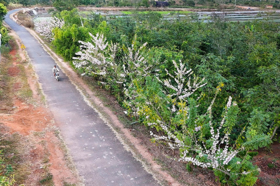 Ảnh: Bi Ly Ảnh: Bi Ly