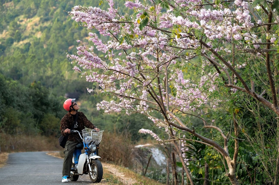 Ảnh: Bi Ly Ảnh: Bi Ly